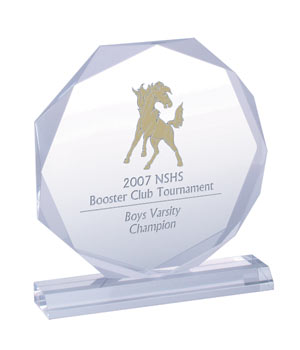 Acrylic Beveled Octagon Awards